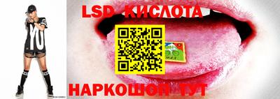 кокаин Гатчина
